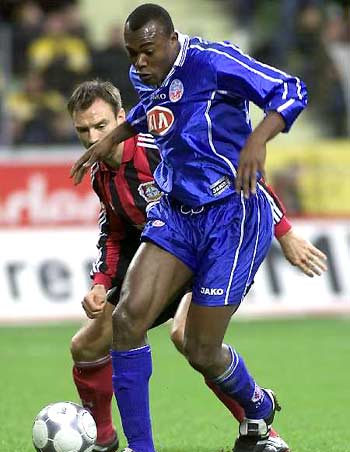 仅丰富了 仅丰富了